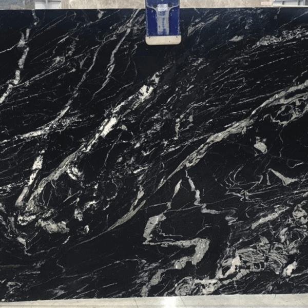 Vivid Marquina